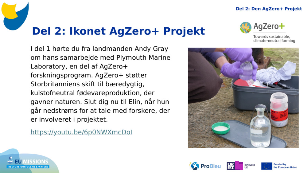 Del 2: Ikonet 