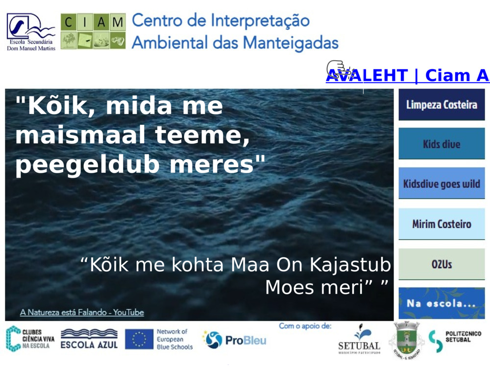 AVALEHT | Ciam Azul