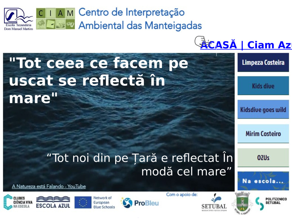 ACASĂ | Ciam Azul