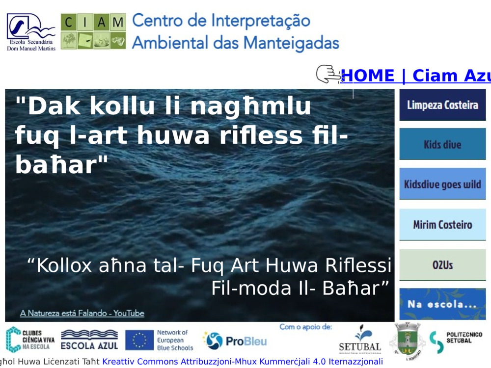 HOME | Ciam Azul