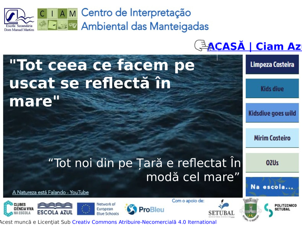 ACASĂ | Ciam Azul