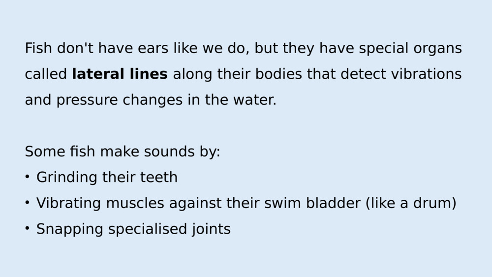 Can marine creatures make sound and hear each other?  