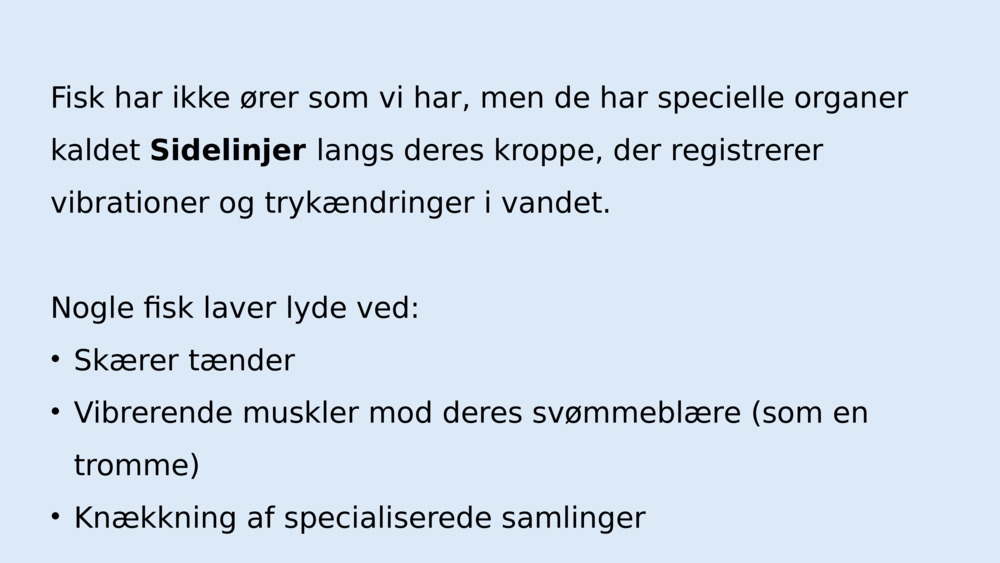 Kan havdyr lave lyd og høre hinanden?  