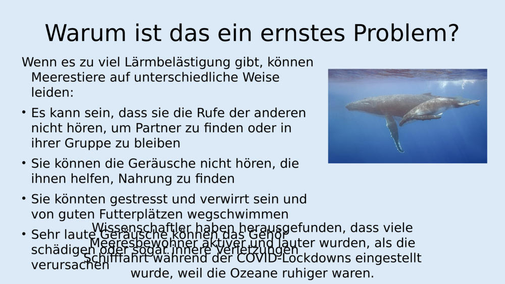Hören Sie auf die Klänge und auf den Lärm