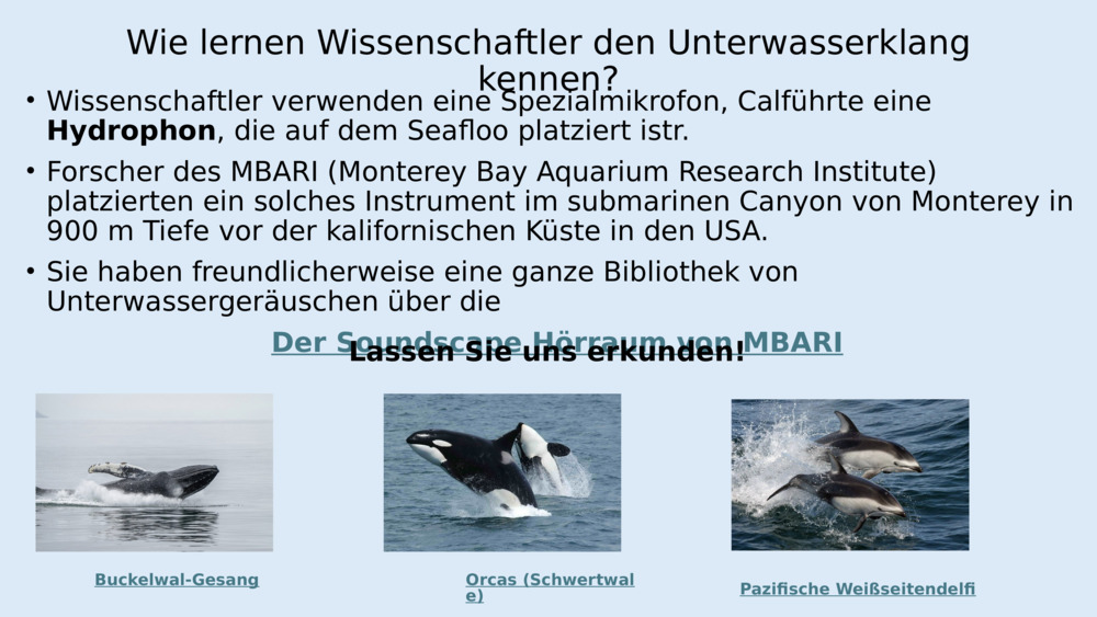 Fische haben keine Ohren wie wir, aber sie haben spezielle Organe, die 