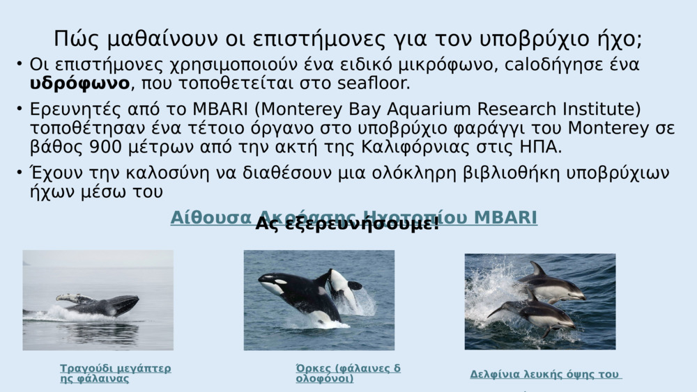 Τα ψάρια δεν έχουν αυτιά όπως εμείς, αλλά έχουν ειδικά όργανα που ονομάζονται 