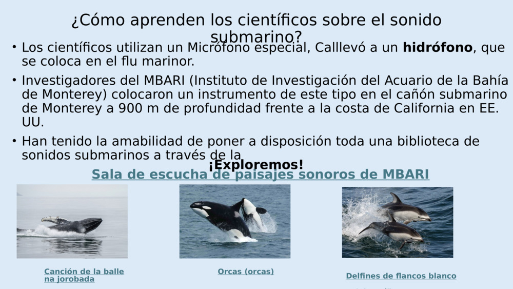 Los peces no tienen oídos como nosotros, pero tienen órganos especiales llamados 