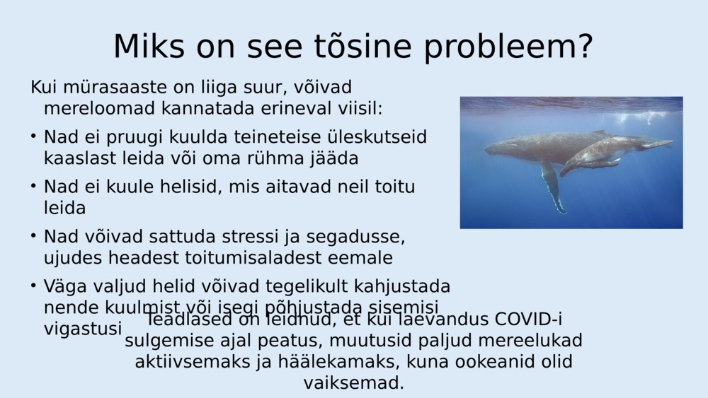 Kuulake helisid ja müra