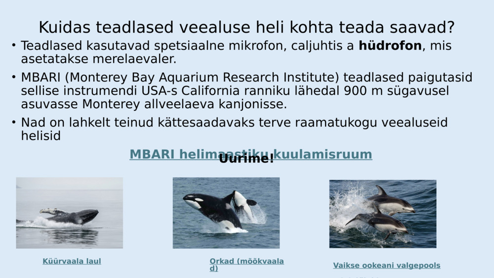 Kaladel pole kõrvu nagu meil, kuid neil on spetsiaalsed organid, mida nimetatakse 