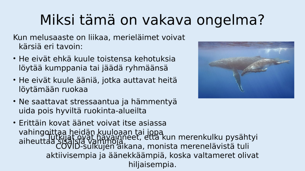 Kuuntele ääniä ja melua