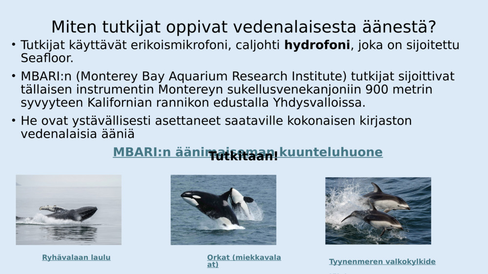 Kaloilla ei ole korvia kuten meillä, mutta niillä on erityisiä elimiä, joita kutsutaan 