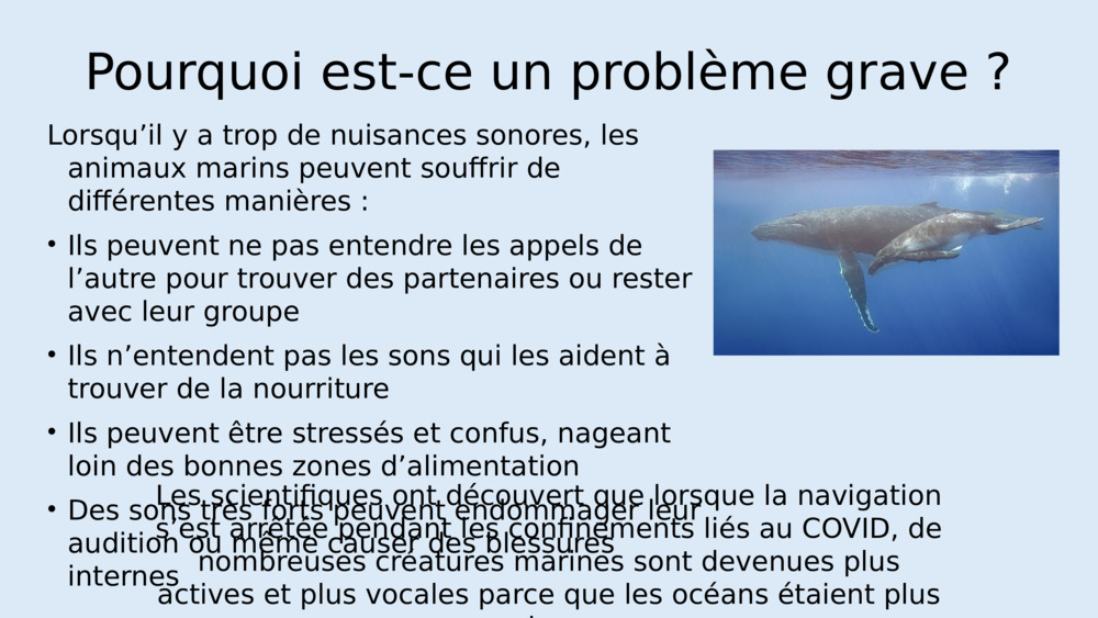 Écoutez les sons et le bruit