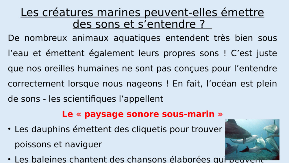 Mais pourquoi tout nous semble plus silencieux sous l’eau ?