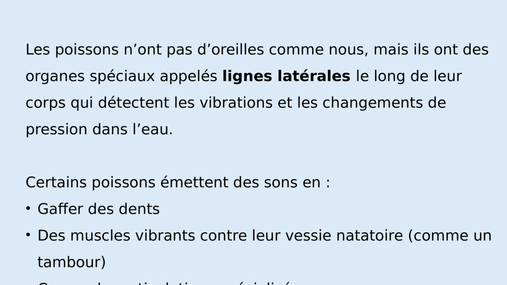 Les créatures marines peuvent-elles émettre des sons et s’entendre ?  