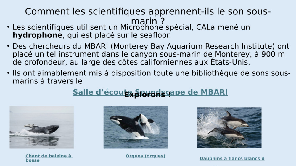 Les poissons n’ont pas d’oreilles comme nous, mais ils ont des organes spéciaux appelés 