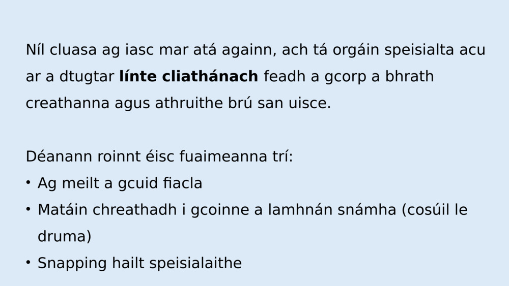 An féidir le créatúir mhara fuaim a dhéanamh agus éisteacht lena chéile?  