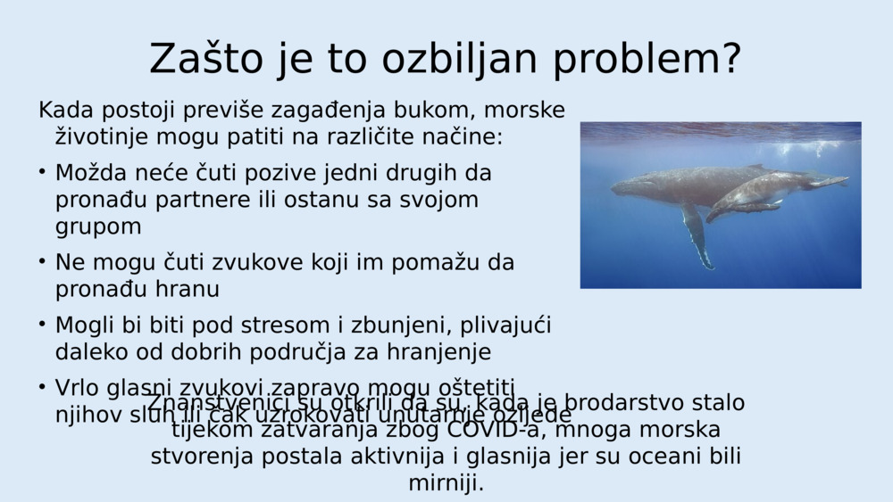 Slušajte zvukove i buku