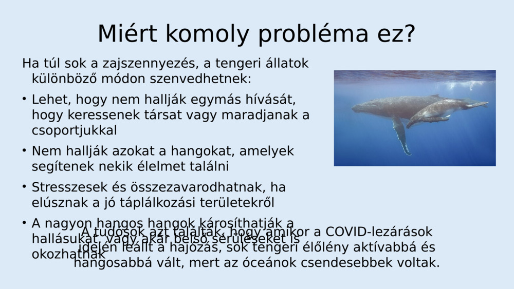 Hallgasd meg a hangokat és a zajt