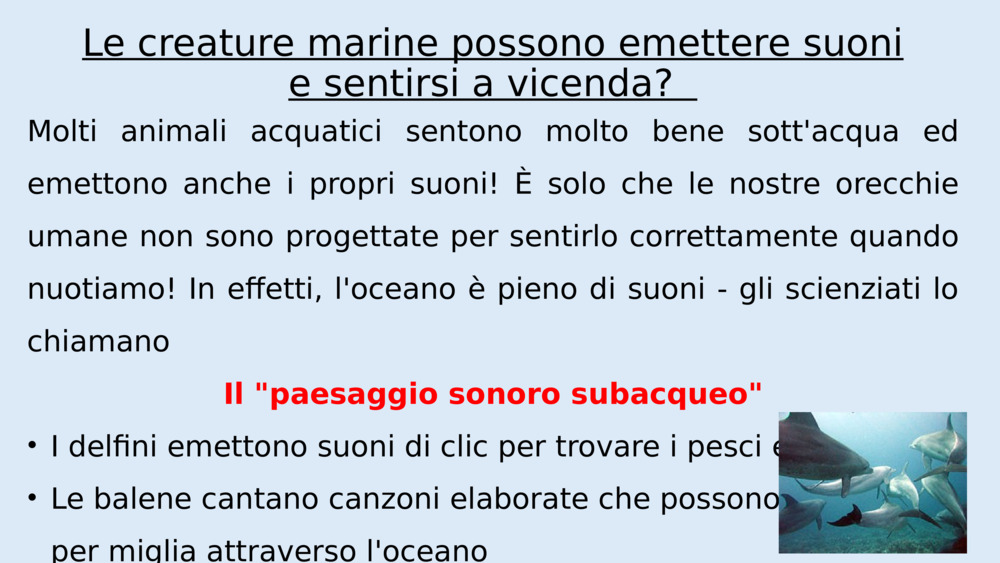 Ma perché tutto ci sembra più silenzioso sott'acqua?