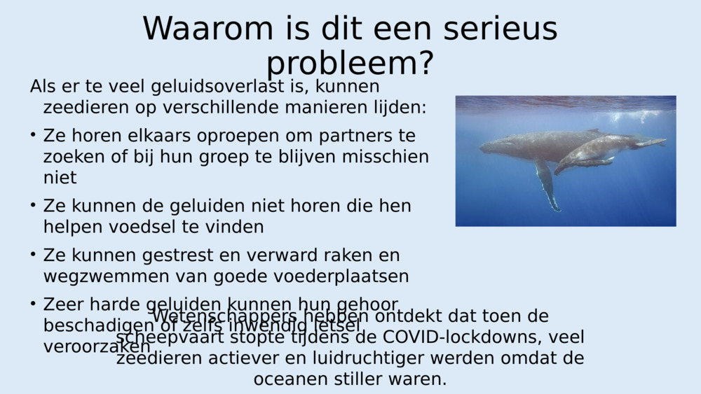 Luister naar de geluiden en naar het lawaai