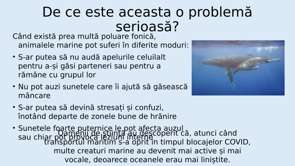 Ascultă sunetele și zgomotul