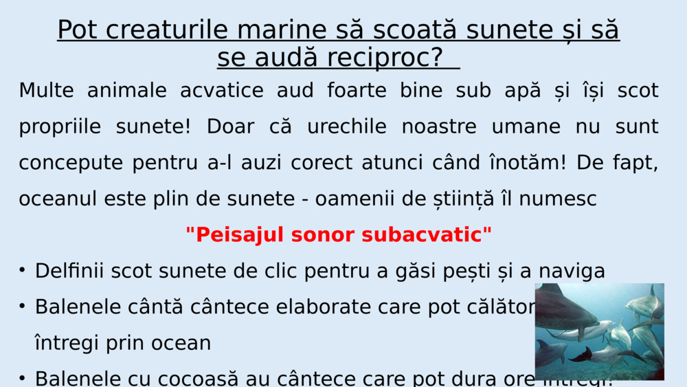 Dar de ce totul ne sună mai liniștit sub apă?