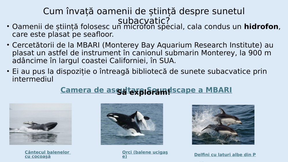 Peștii nu au urechi ca noi, dar au organe speciale numite 