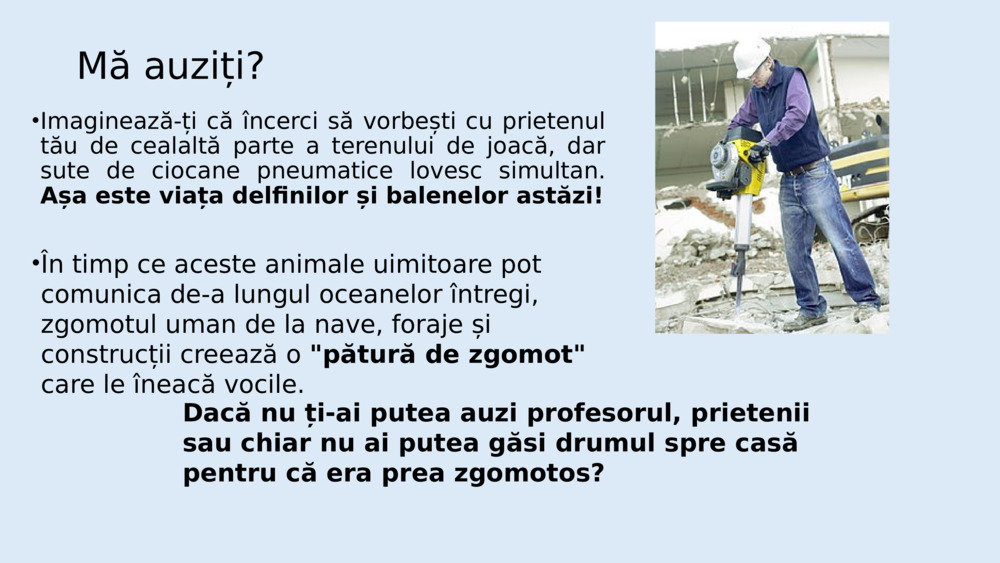 Cum învață oamenii de știință despre sunetul subacvatic?