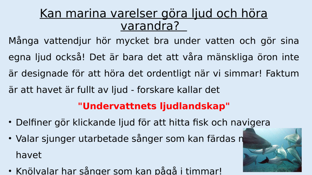 Men varför låter allt tystare för oss under vattnet?