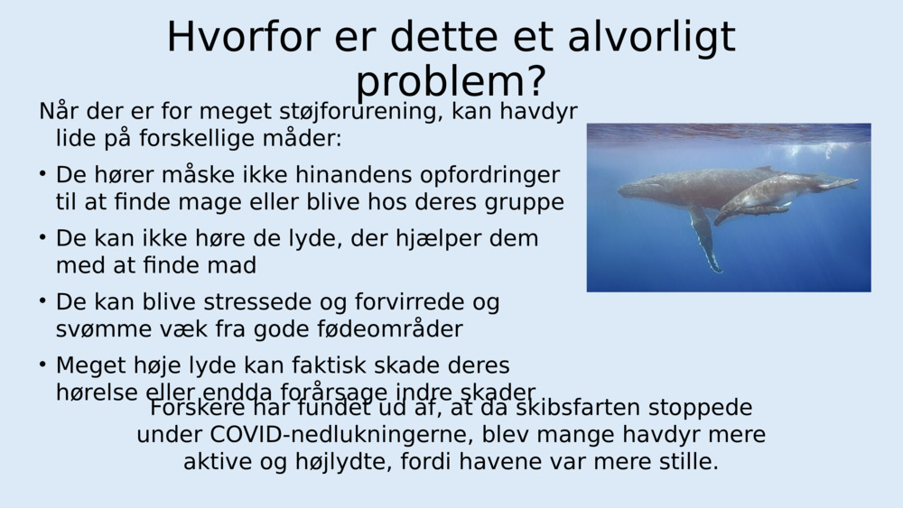 Lyt til lydene og til støjen