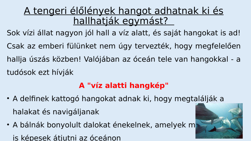 De miért hangzik nekünk minden halkabban a víz alatt?