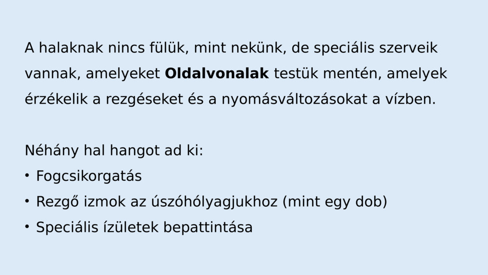 A tengeri élőlények hangot adhatnak ki és hallhatják egymást?  