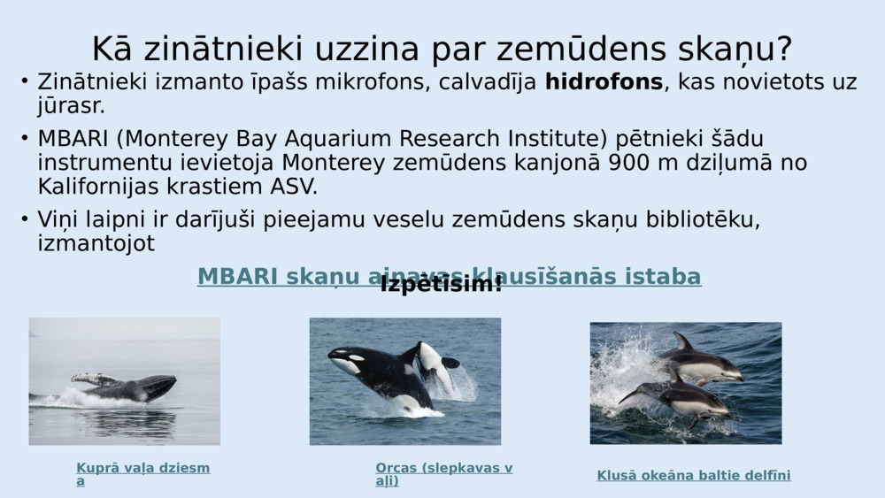 Zivīm nav tādu ausu kā mums, bet tām ir īpaši orgāni, ko sauc par 