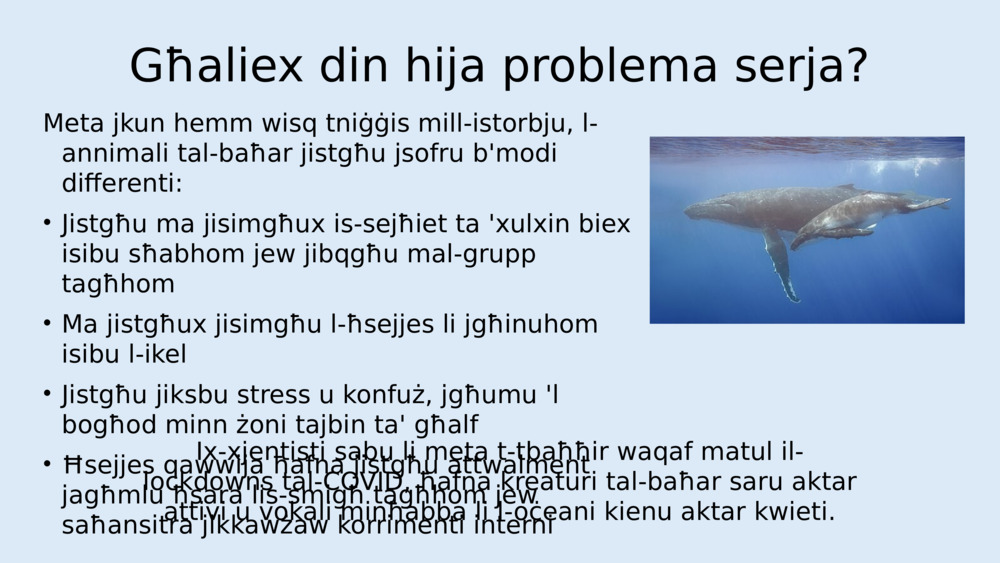 Isma 'l-ħsejjes u l-istorbju