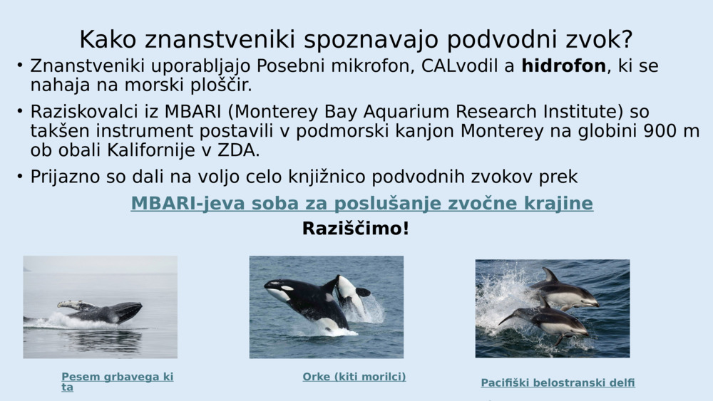 Ribe nimajo ušes kot mi, vendar imajo posebne organe, ki se imenujejo 