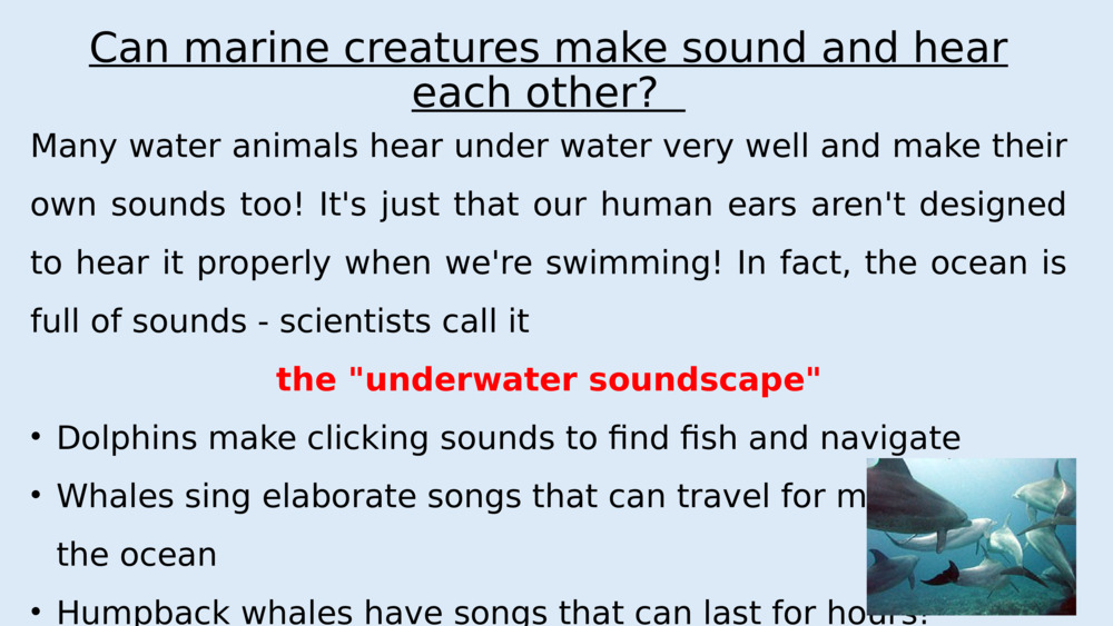 Can marine creatures make sound and hear each other?  