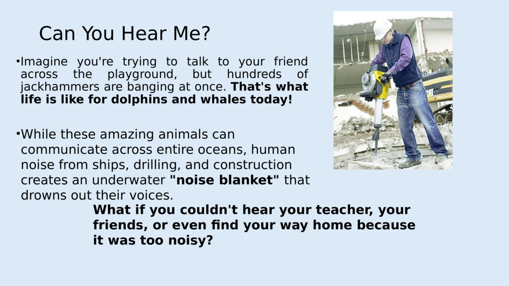 Can You Hear Me?