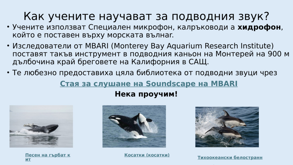 Как учените научават за подводния звук?