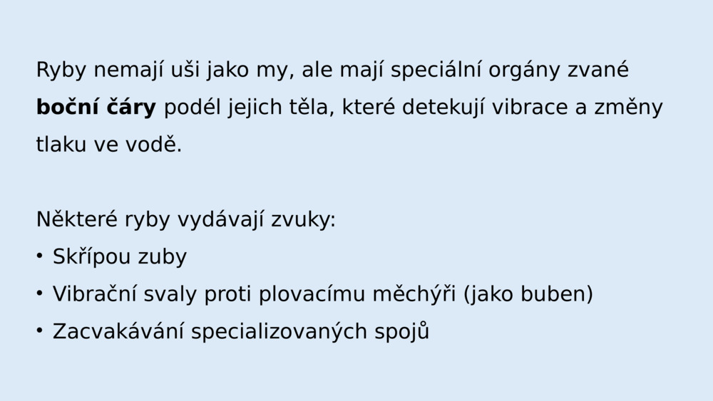 Ryby nemají uši jako my, ale mají speciální orgány zvané 