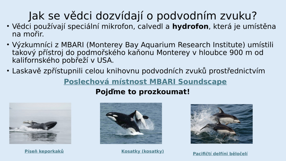 Jak se vědci dozvídají o podvodním zvuku?