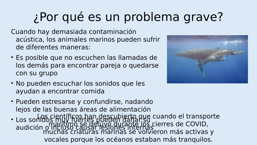 ¿Por qué es un problema grave?