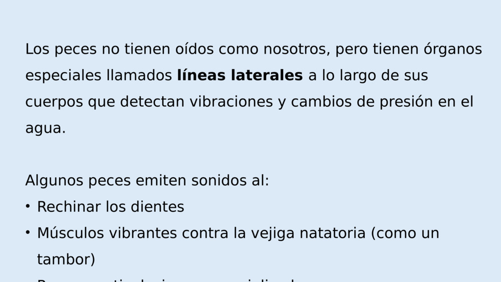 Los peces no tienen oídos como nosotros, pero tienen órganos especiales llamados 