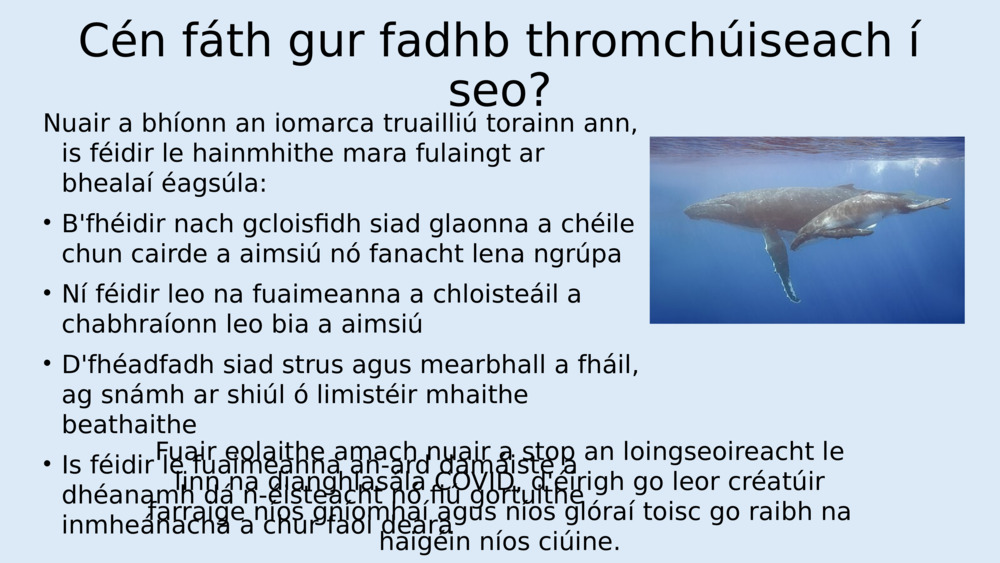 Cén fáth gur fadhb thromchúiseach í seo?