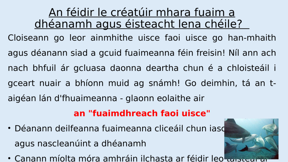 An féidir le créatúir mhara fuaim a dhéanamh agus éisteacht lena chéile?  