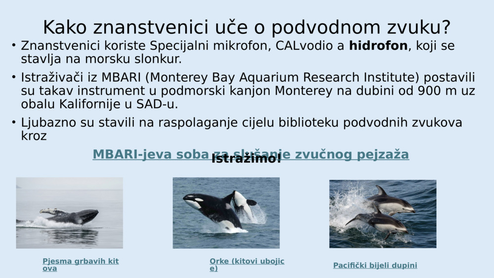 Kako znanstvenici uče o podvodnom zvuku?