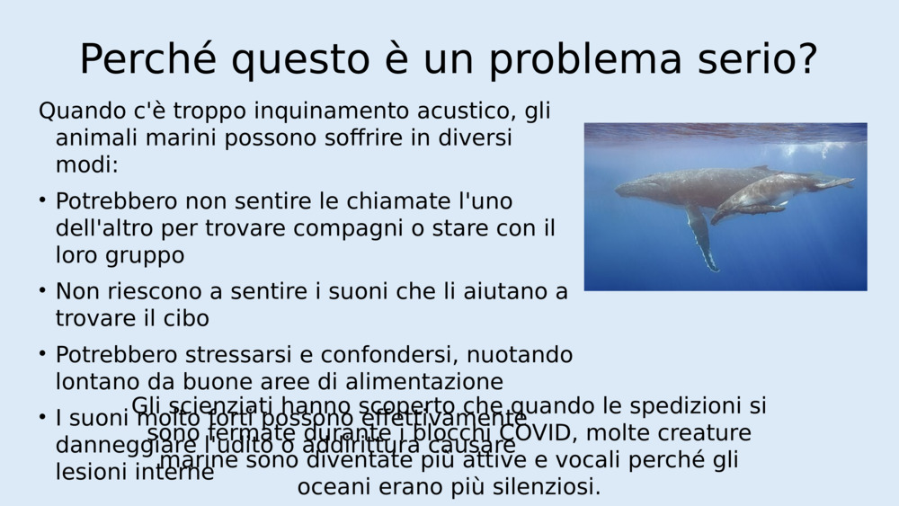 Perché questo è un problema serio?
