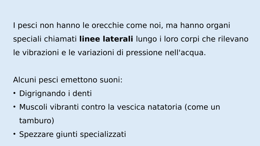 I pesci non hanno le orecchie come noi, ma hanno organi speciali chiamati 