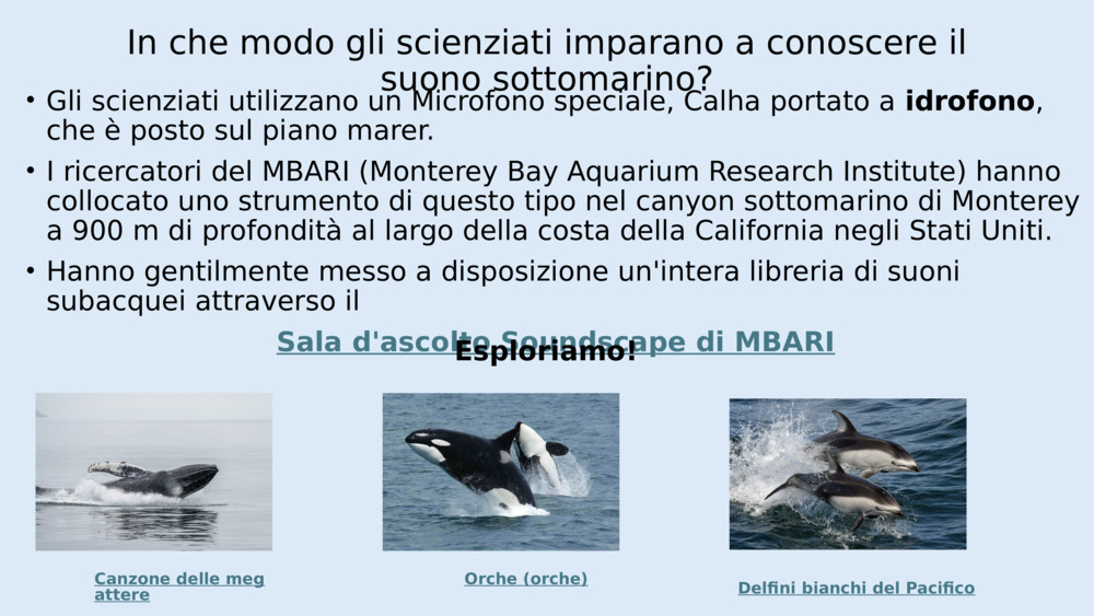 In che modo gli scienziati imparano a conoscere il suono sottomarino?