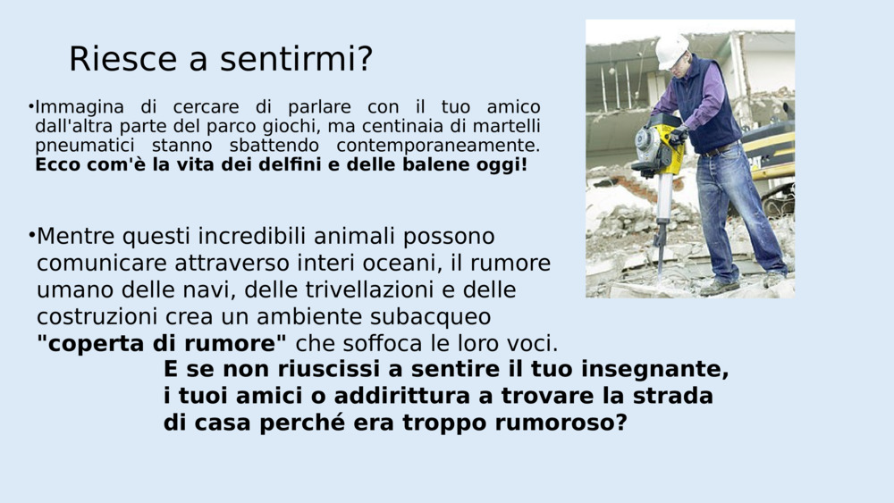 Riesce a sentirmi?