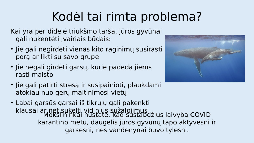 Kodėl tai rimta problema?